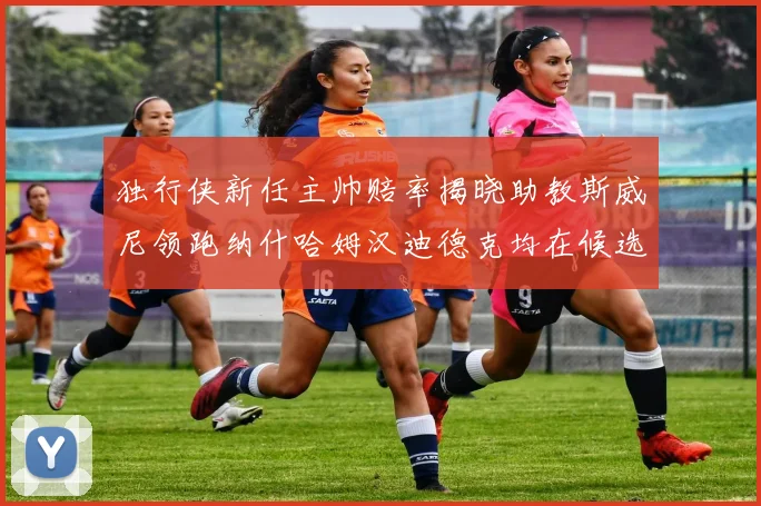独行侠新任主帅赔率揭晓助教斯威尼领跑纳什哈姆汉迪德克均在候选之中